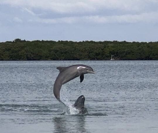 Photo of Others in Island Estate