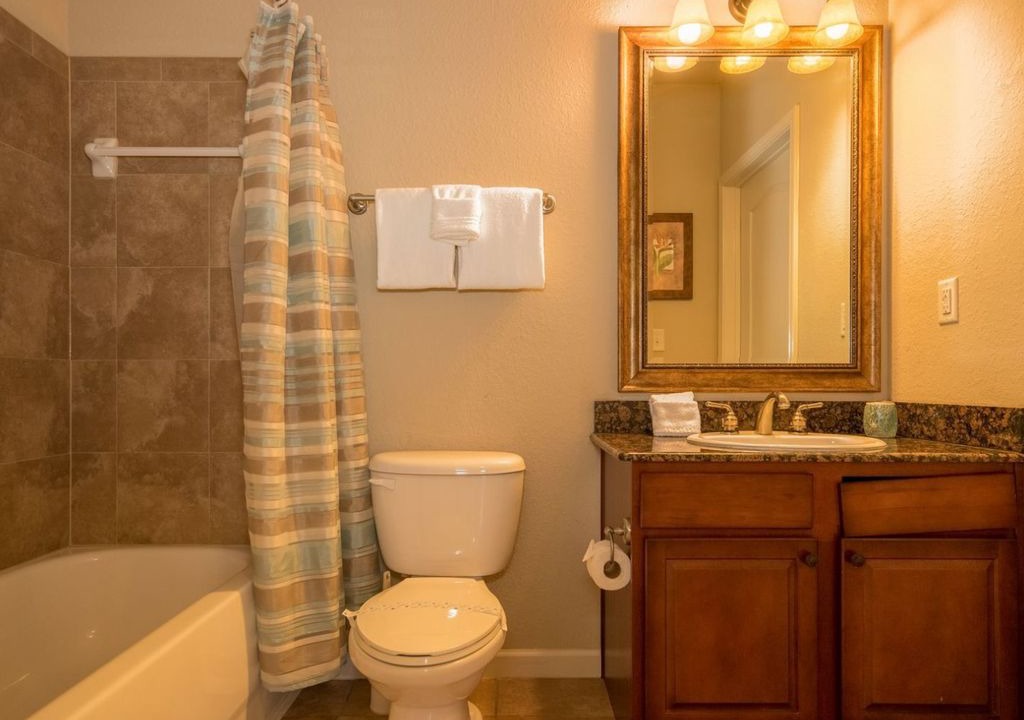 Photo of Bathroom in Wellington