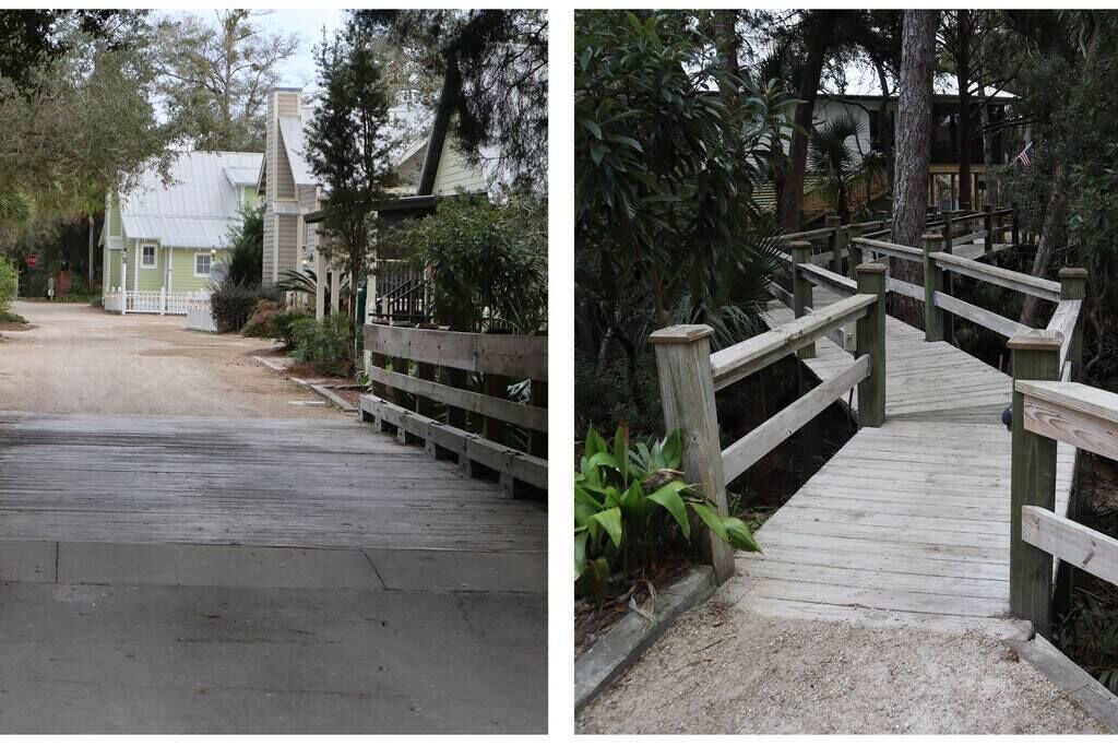 Photo of Outdoor in Steinhatchee