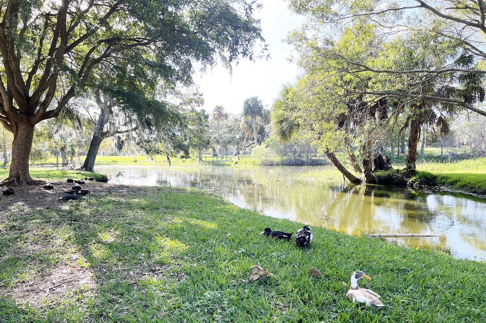 Photo of Others in Gillespie Park