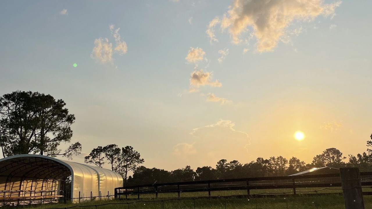 Photo of Outdoor in Brooksville