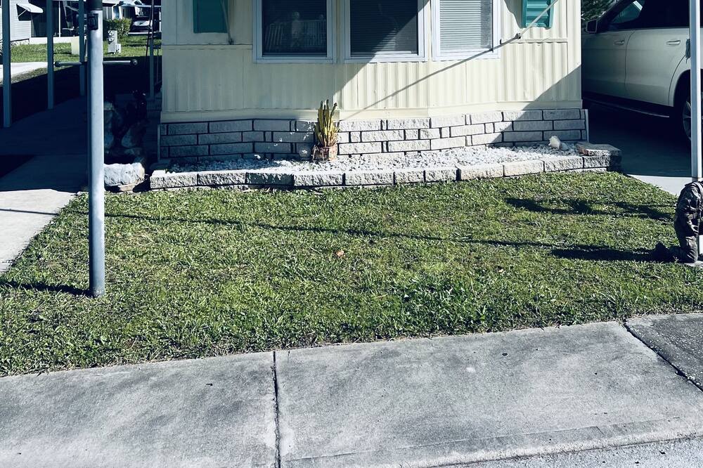 Photo of Outdoor in New Port Richey East