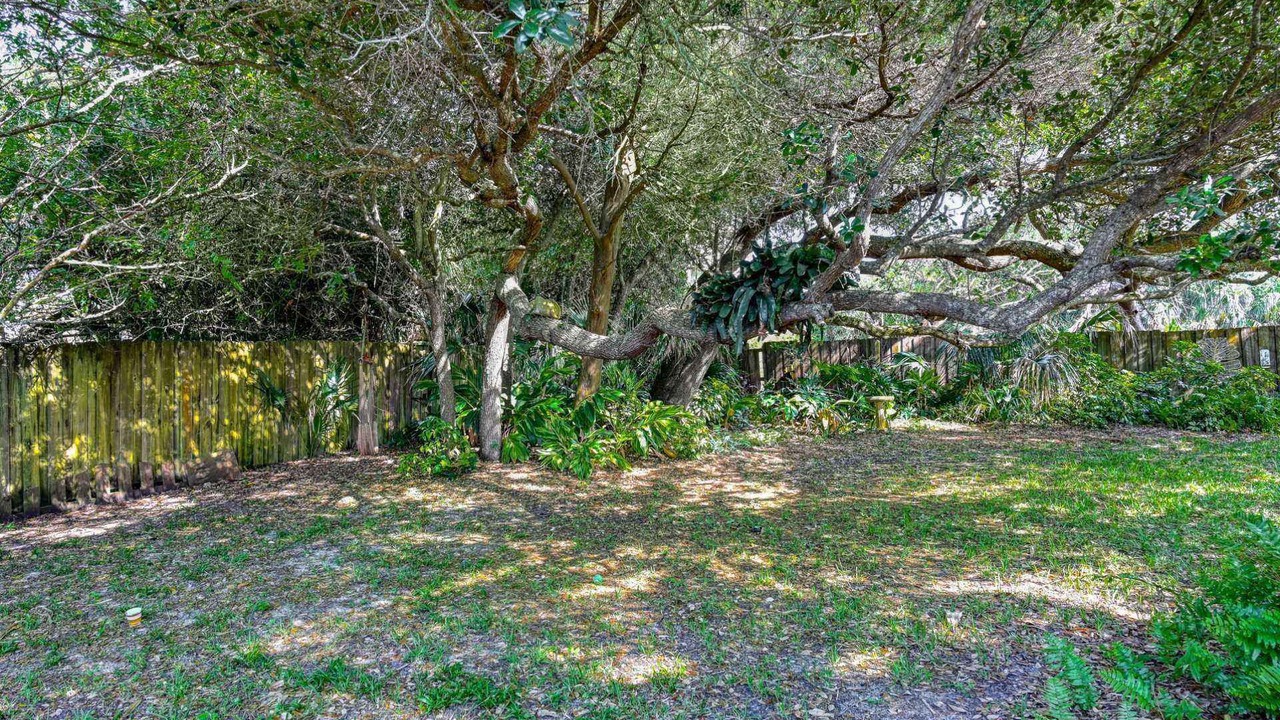 Photo of Outdoor in Vilano Beach