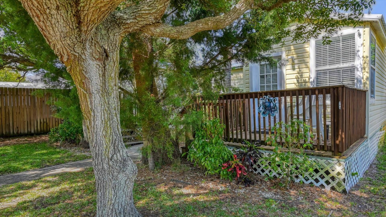 Photo of Outdoor in Vilano Beach