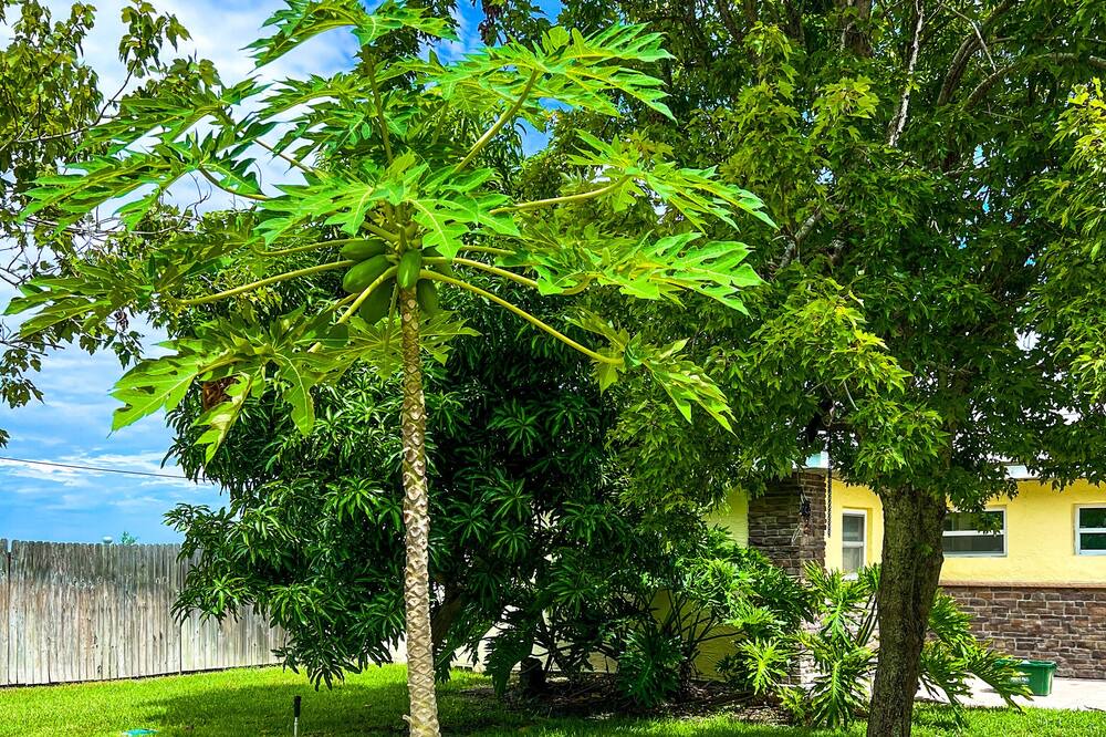 Photo of Outdoor in Wobser Acres