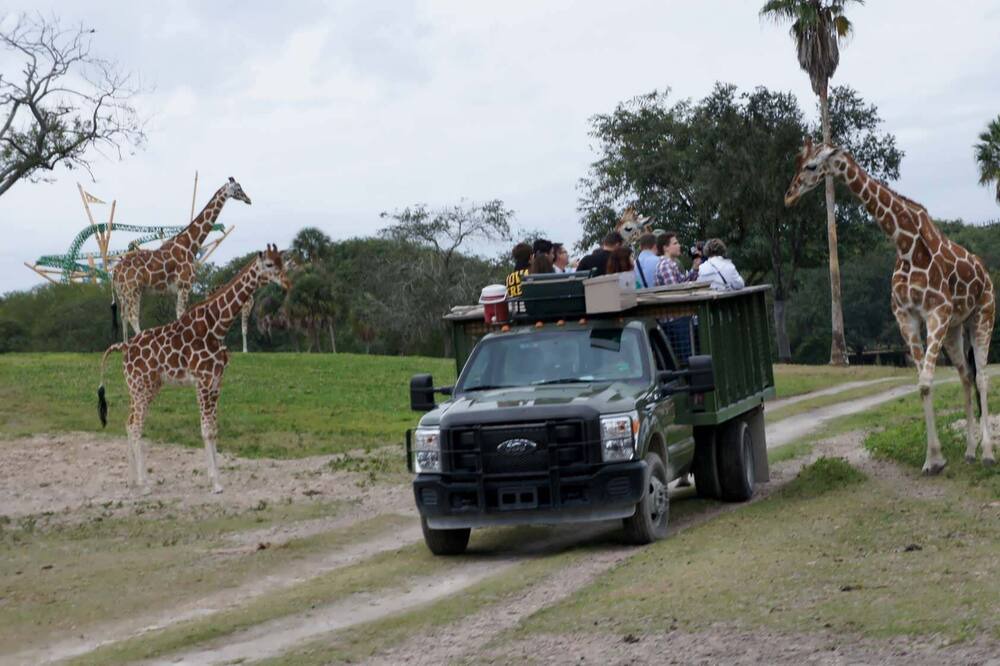 Photo of Others in Wesley Chapel South