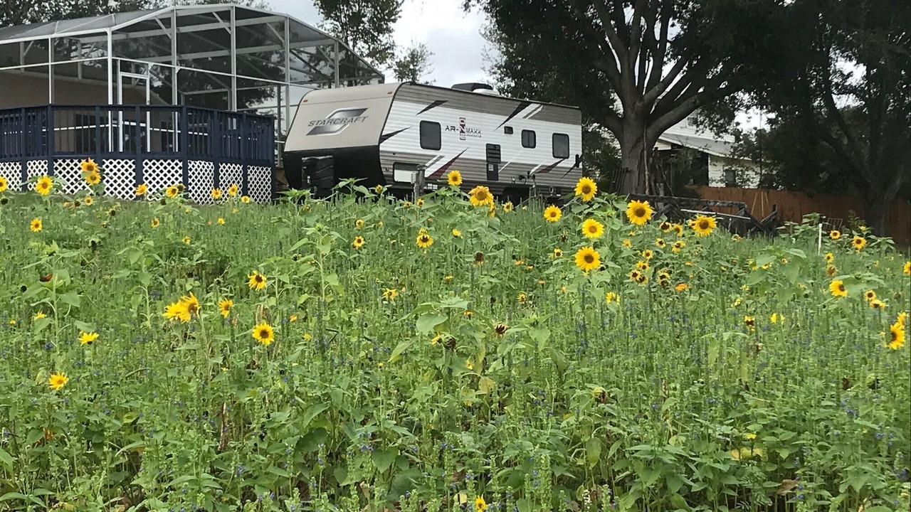 Photo of Outdoor in Clermont