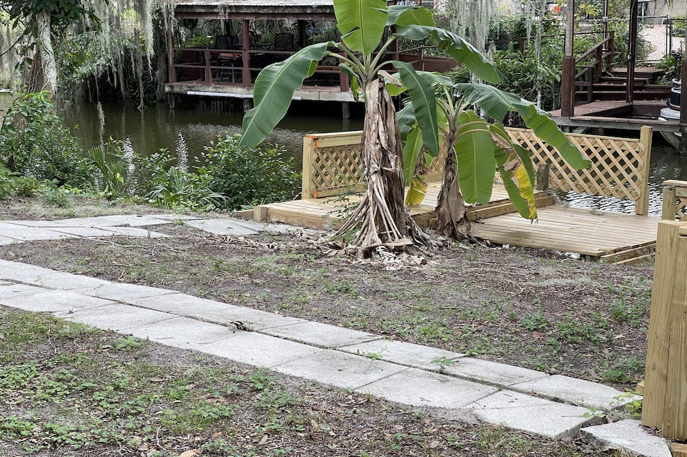 Photo of Outdoor in Tavares