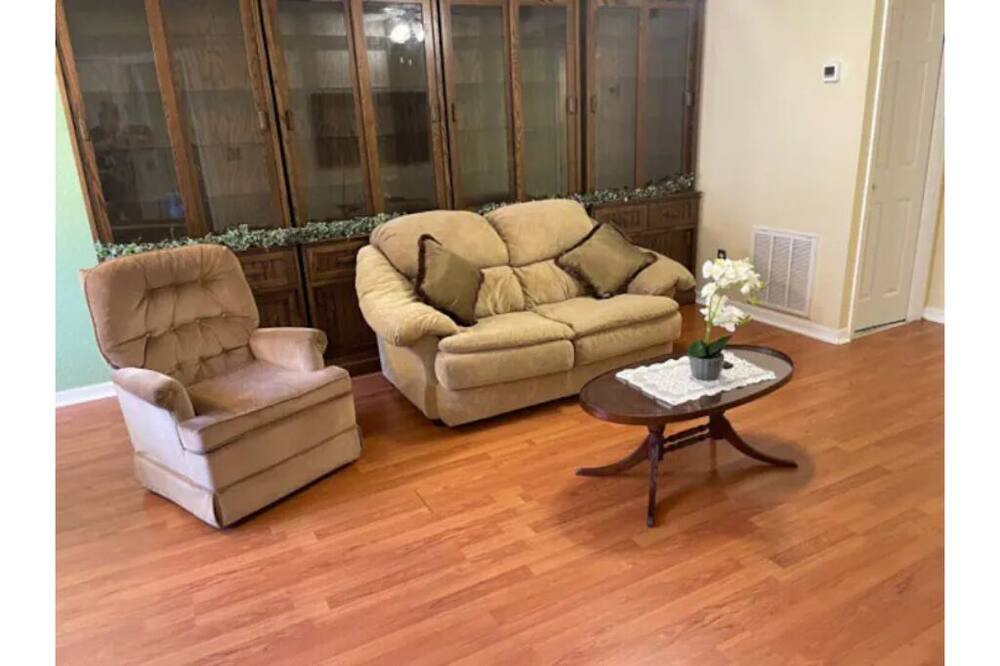 Photo of Livingroom in Lutz