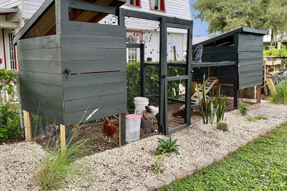Photo of Outdoor in Auburndale