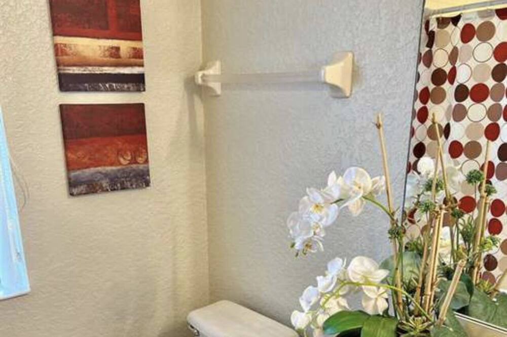 Photo of Bathroom in Wellington