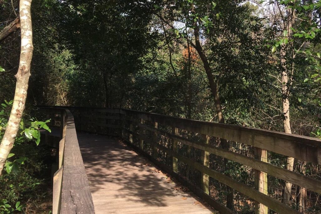 Photo of Outdoor in Gulfport