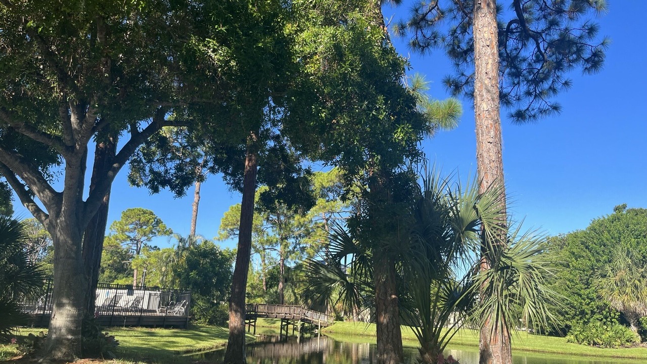 Photo of Outdoor in Gulf Gate Estates