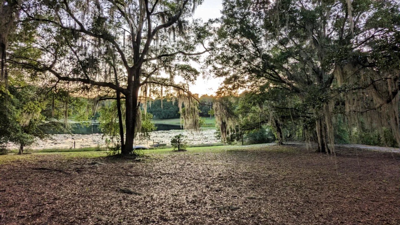 Photo of Outdoor in Edgar