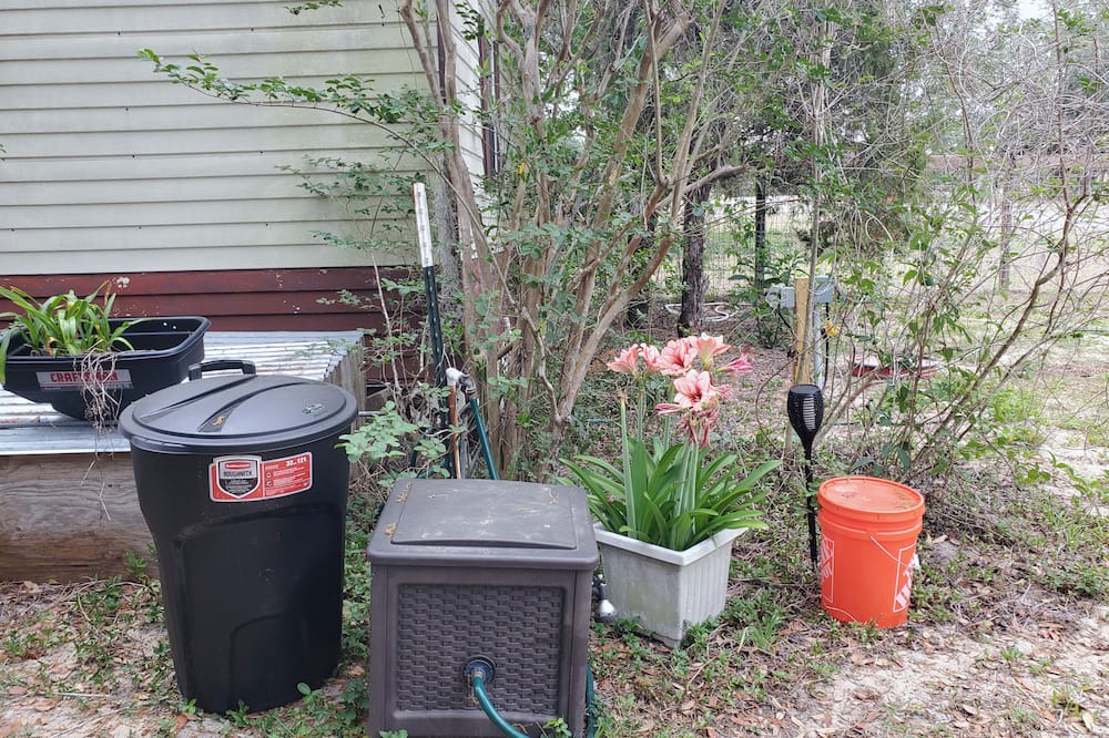 Photo of Outdoor in Lecanto