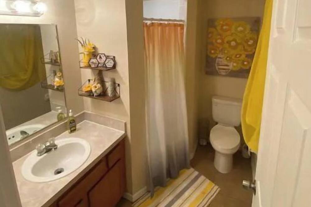 Photo of Bathroom in Port Tampa City