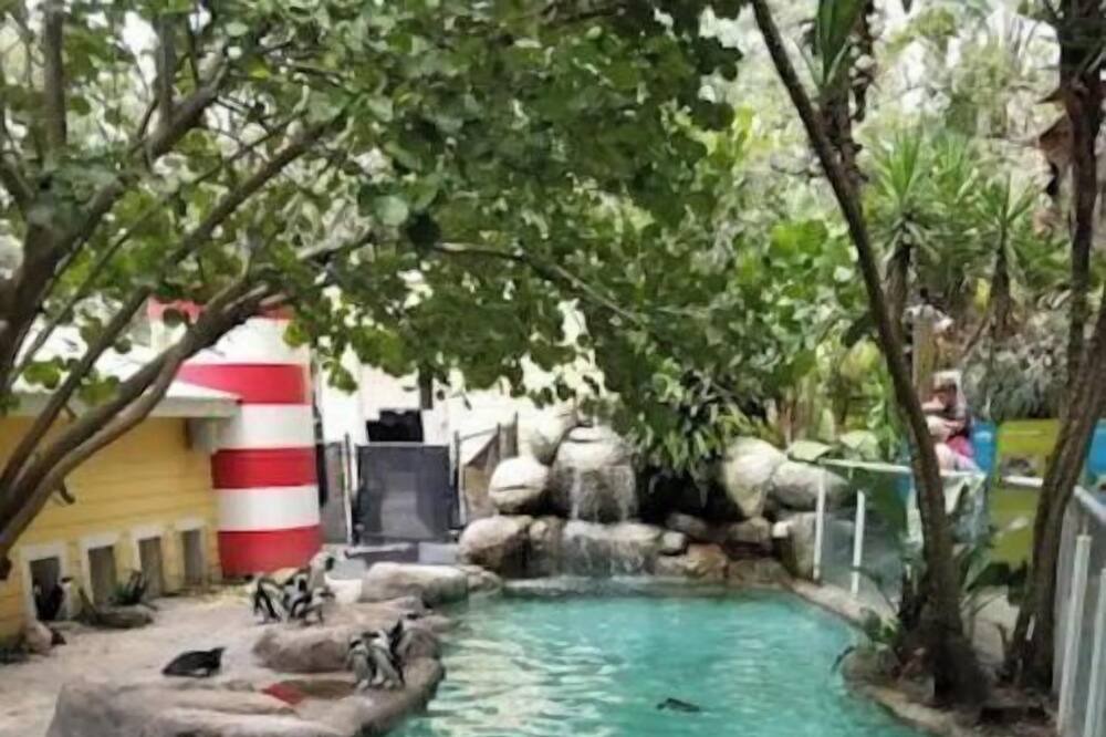 Photo of Outdoor in Port Tampa City