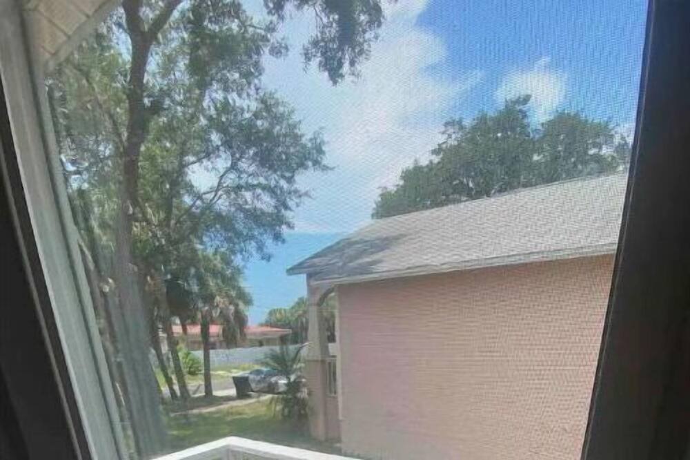Photo of Outdoor in Port Tampa City