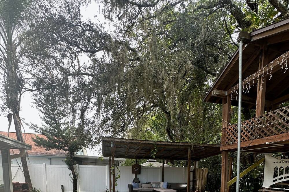 Photo of Outdoor in Citrus Park