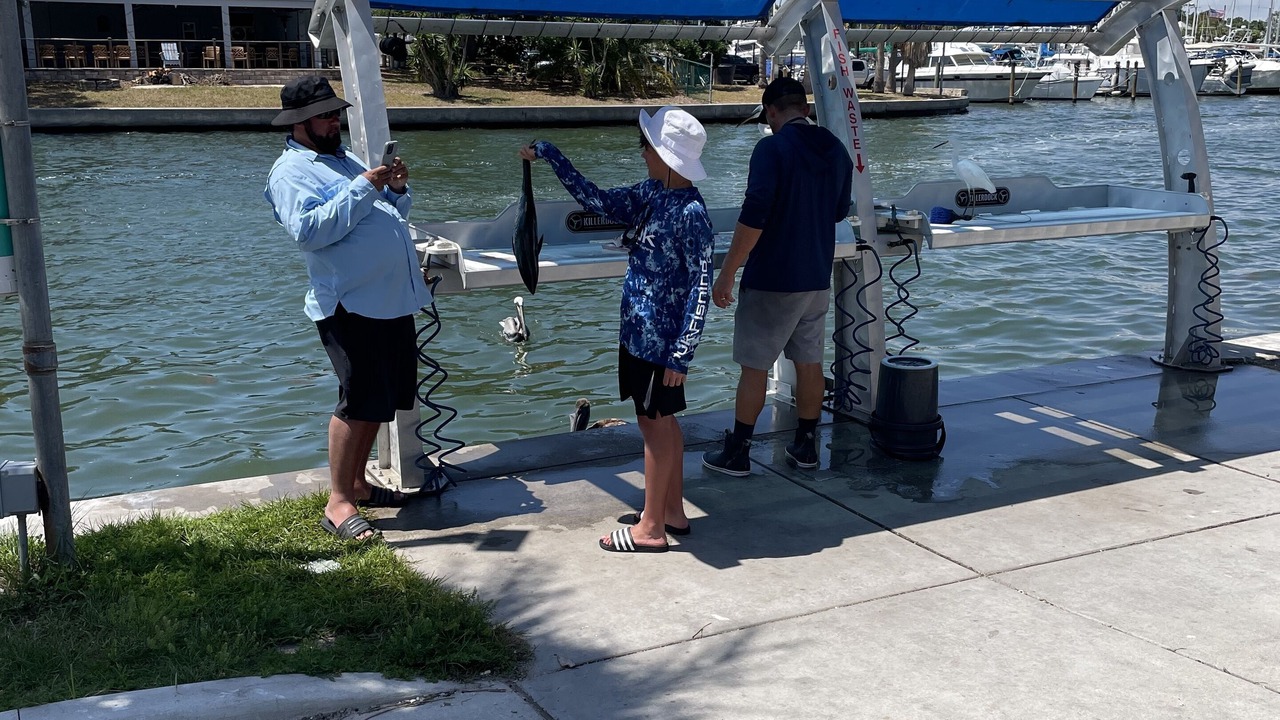 Photo of Others in Bayview