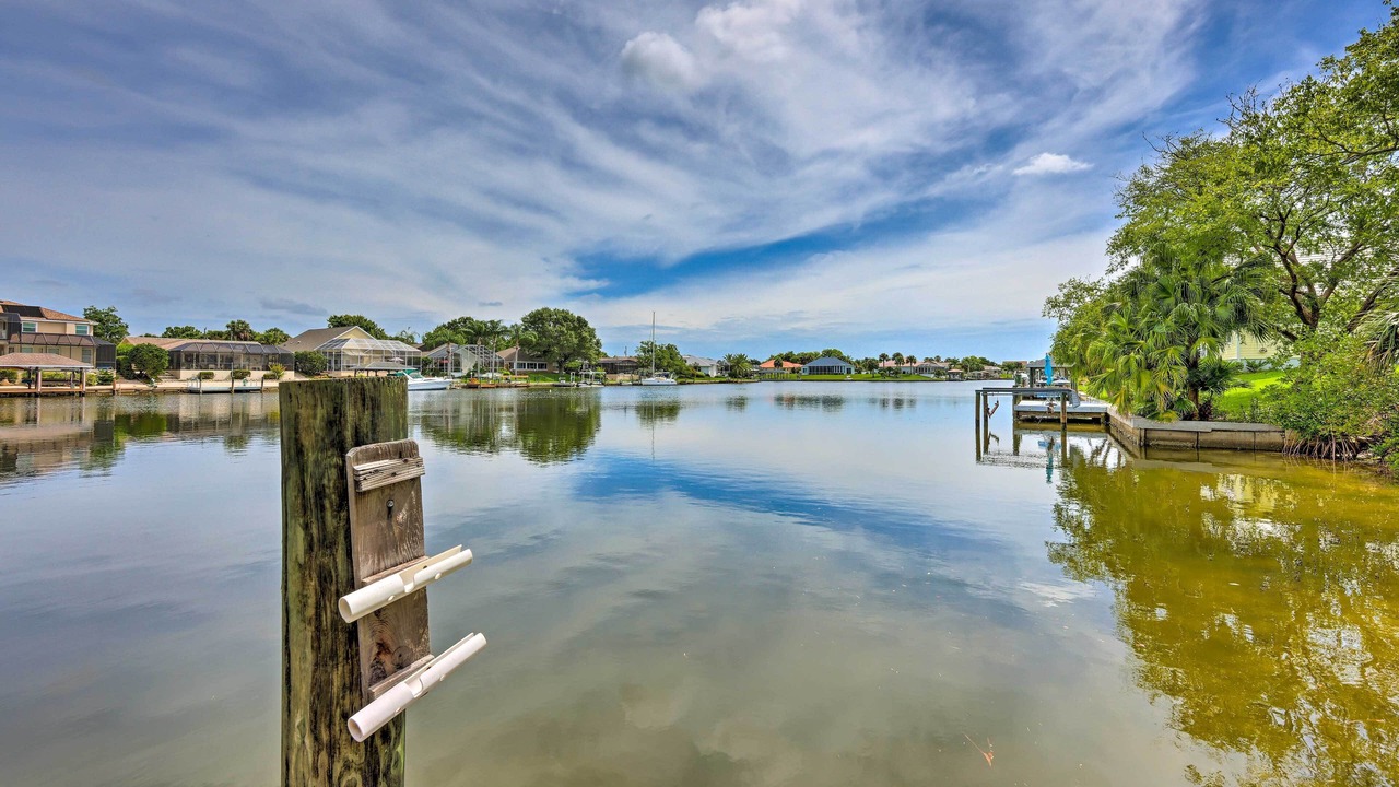 Photo of Others in Palm Harbor