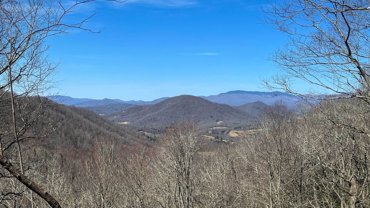 Photo of Others in Spruce Pine