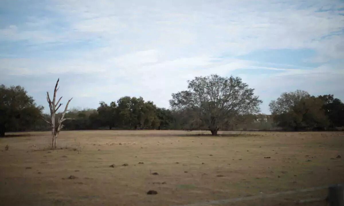 Photo of Others in Groveland