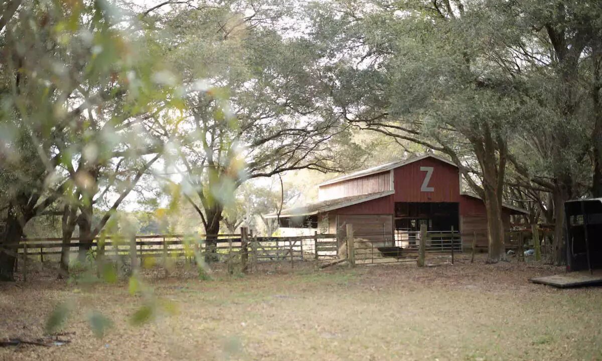 Photo of Outdoor in Groveland