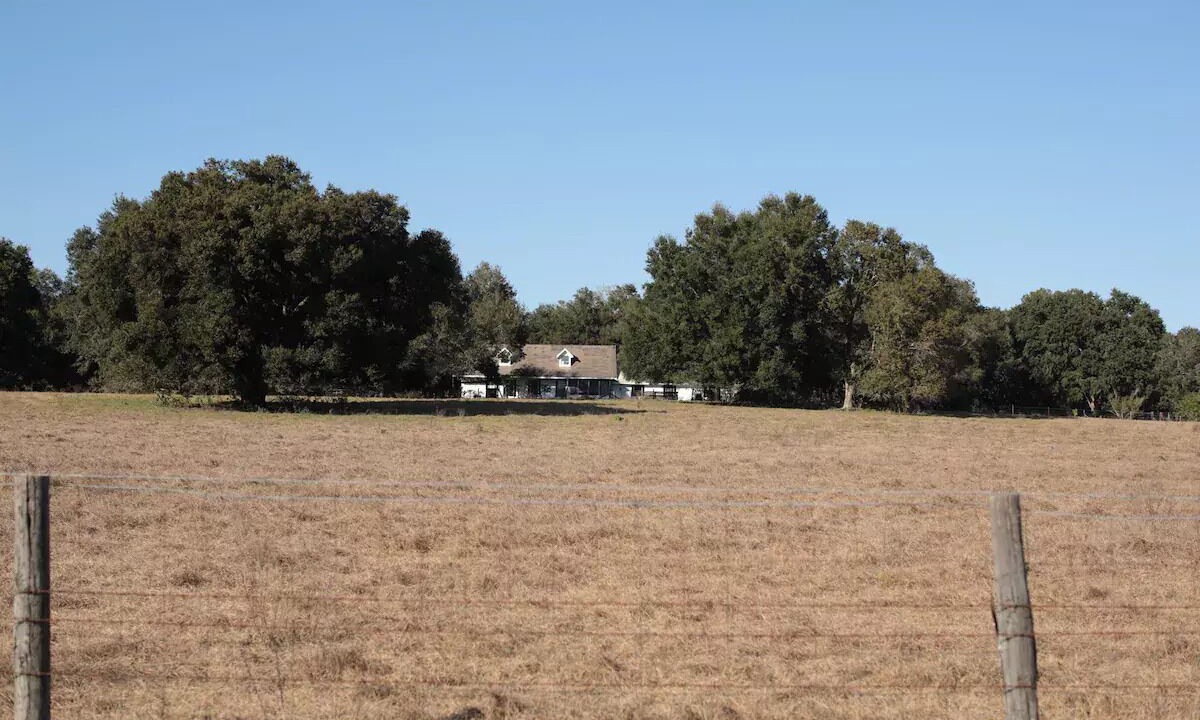 Photo of Outdoor in Groveland