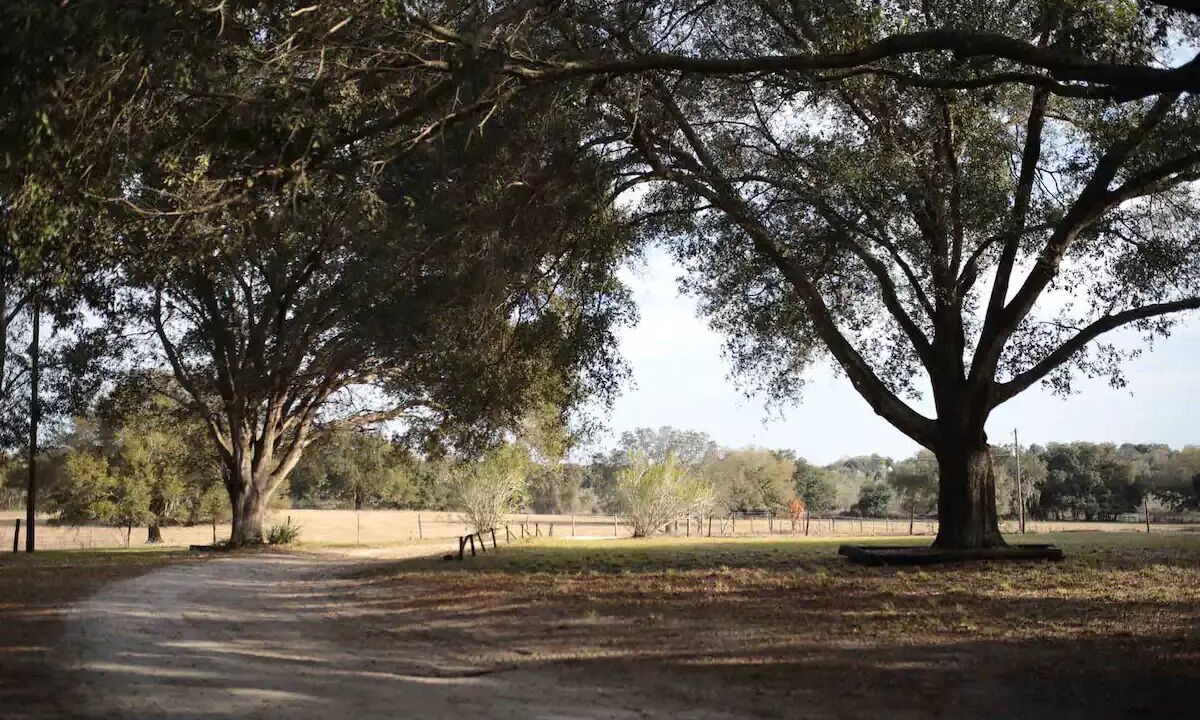 Photo of Outdoor in Groveland