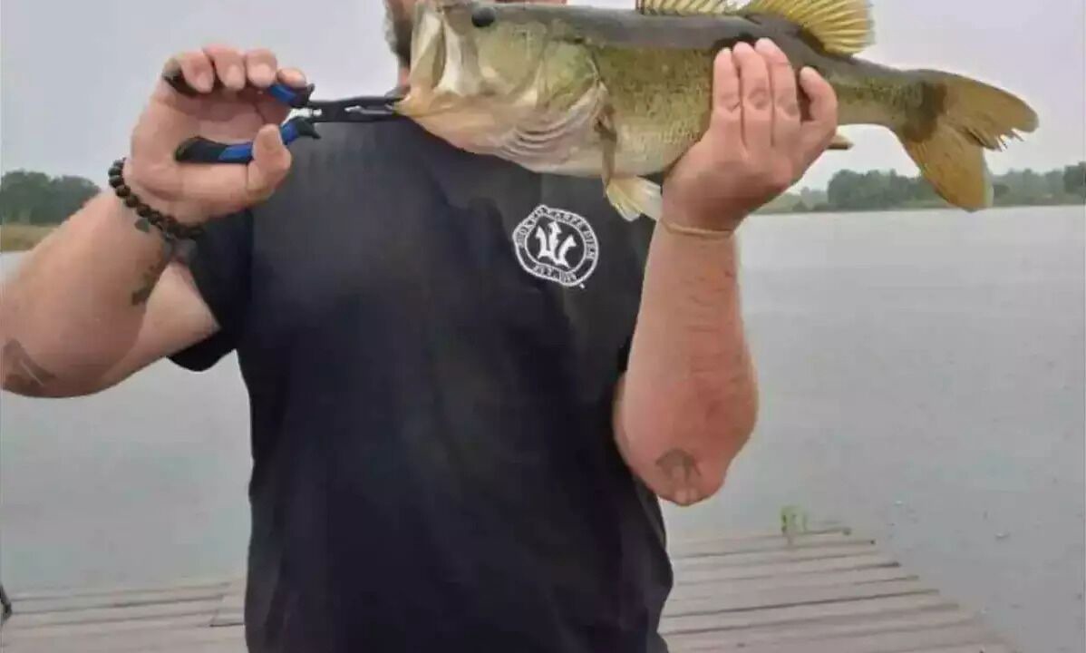 Photo of Others in Groveland