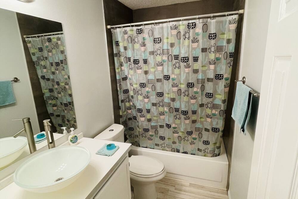 Photo of Bathroom in Tampa Palms