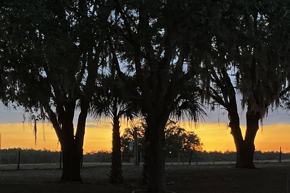 Photo of Outdoor in Dunnellon