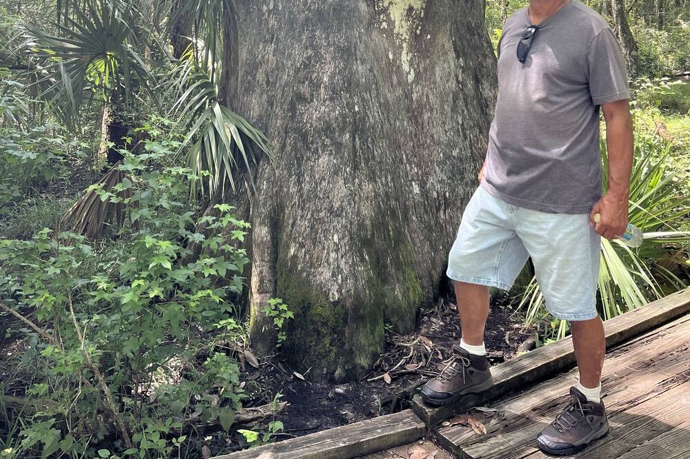 Photo of Outdoor in Dunnellon