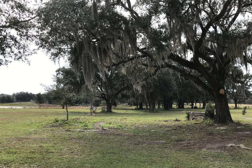 Photo of Others in Dunnellon
