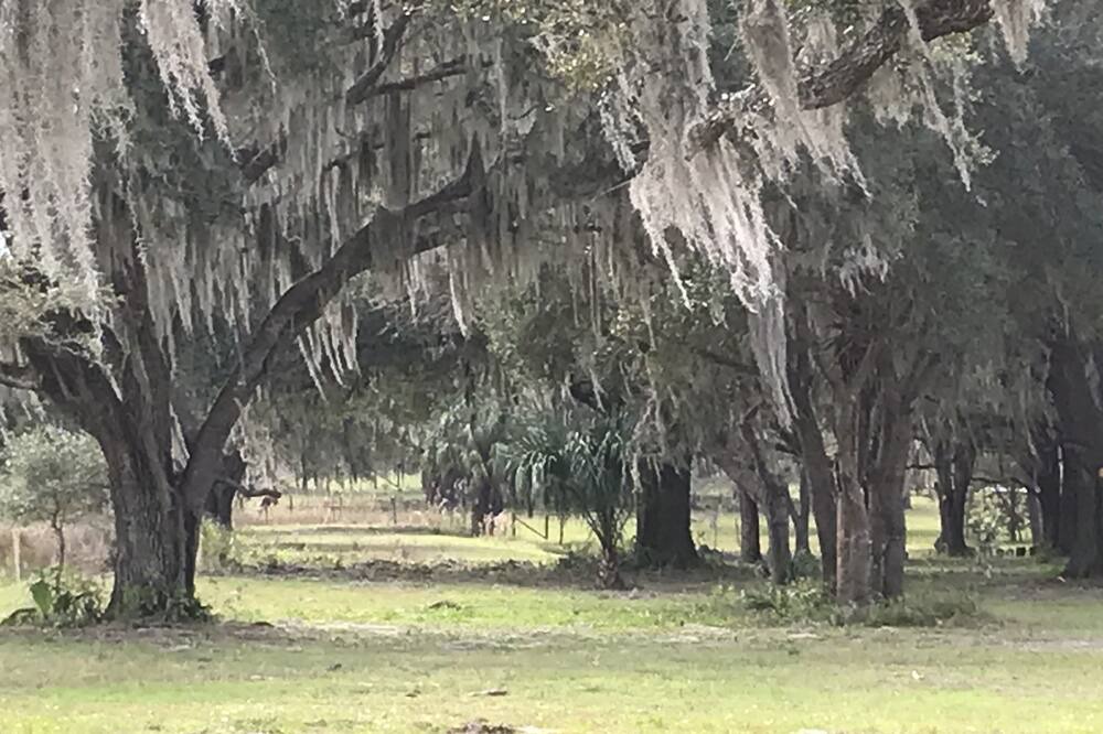 Photo of Others in Dunnellon