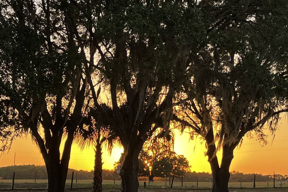 Photo of Outdoor in Dunnellon