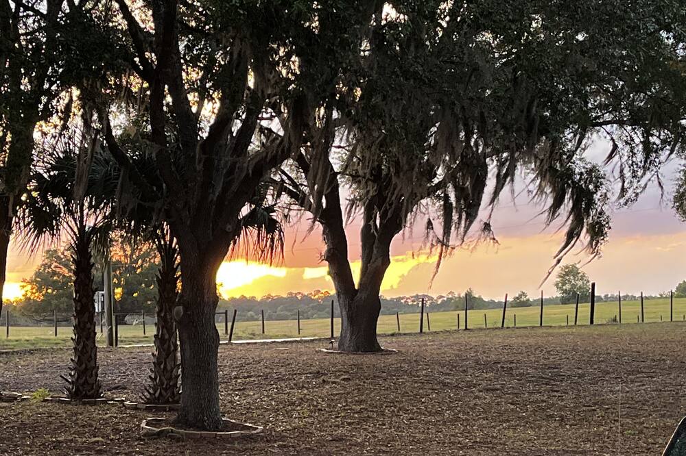 Photo of Outdoor in Dunnellon