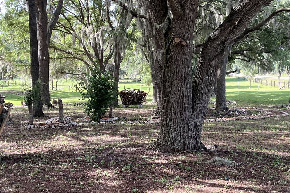 Photo of Outdoor in Dunnellon