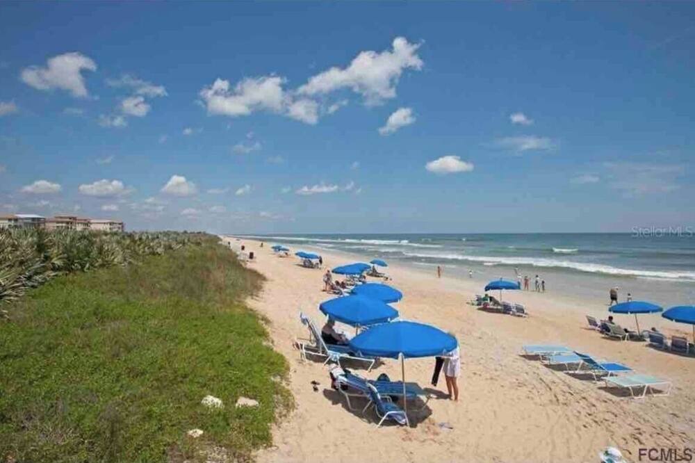 Photo of Others in Palm Coast