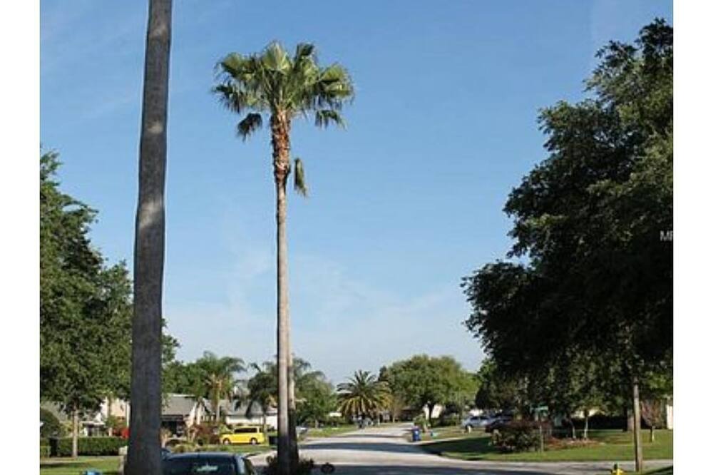 Photo of Others in Groveland