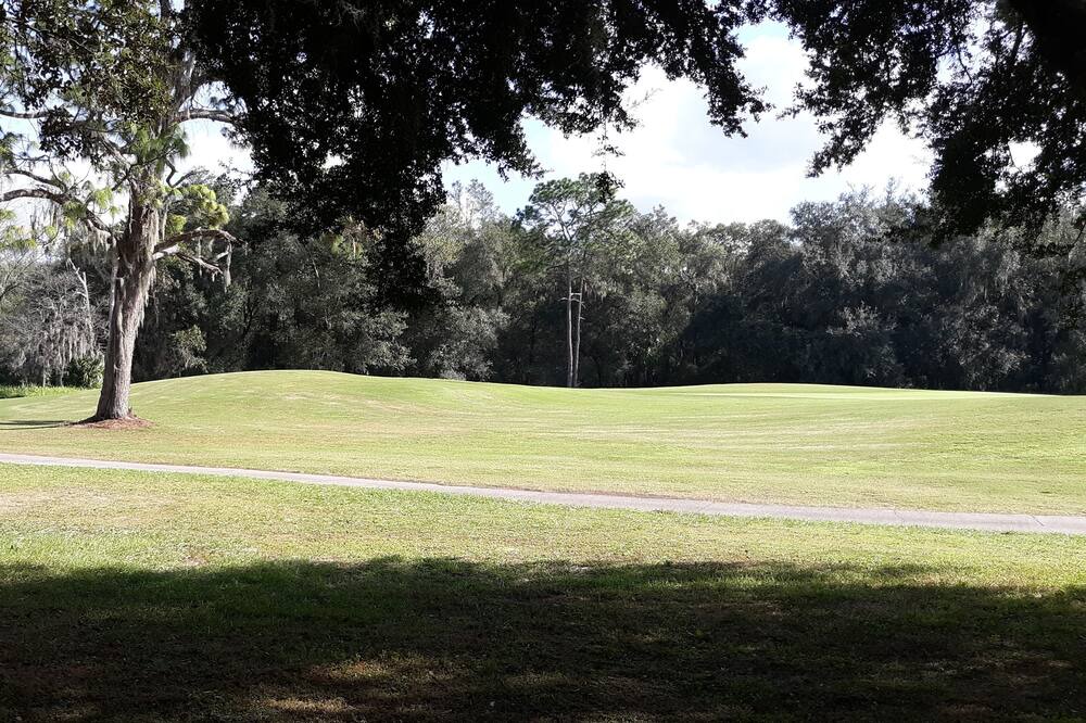 Photo of Others in Silver Springs Shores