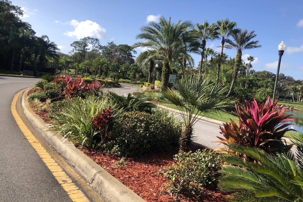 Photo of Outdoor in Wesley Chapel