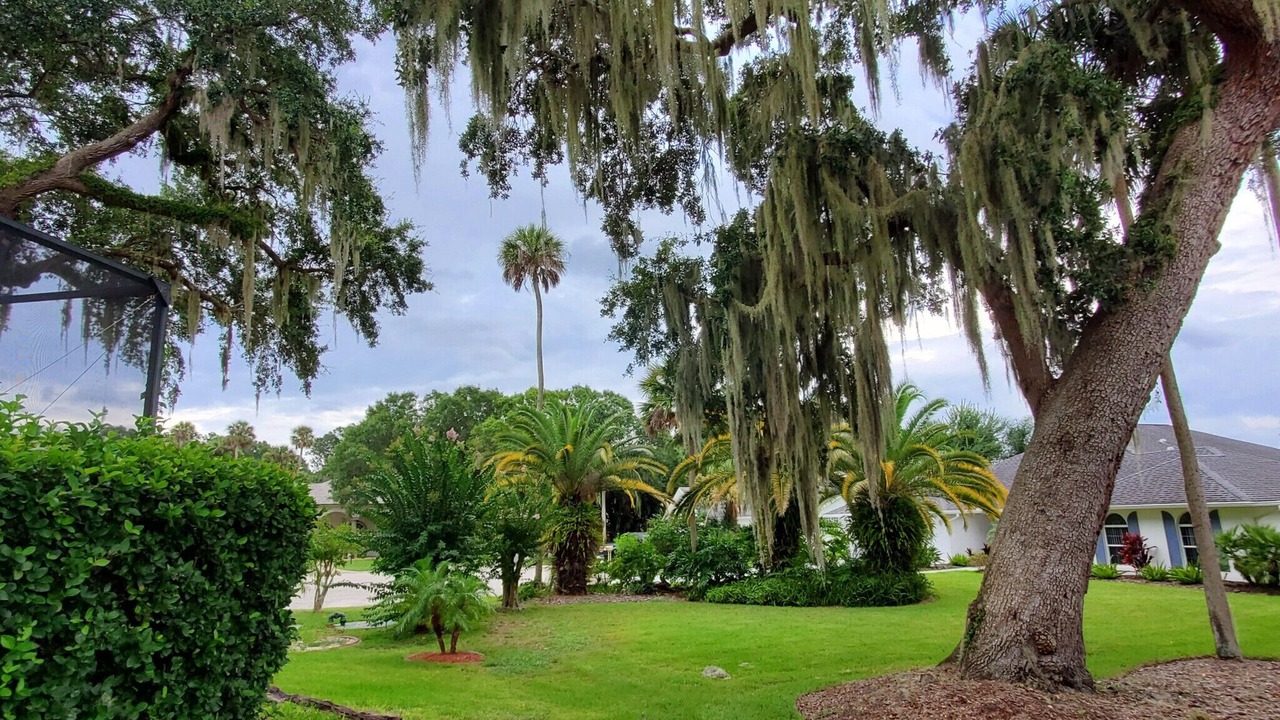 Photo of Outdoor in New Smyrna Beach