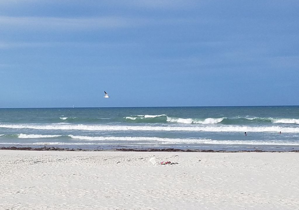 Photo of Others in New Smyrna Beach
