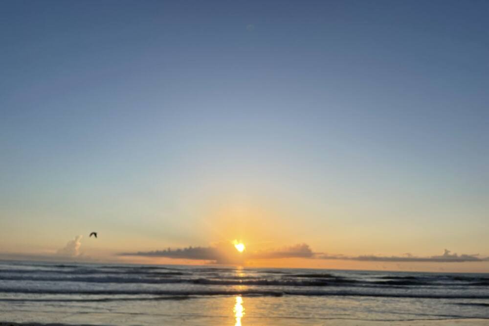Photo of Others in New Smyrna Beach
