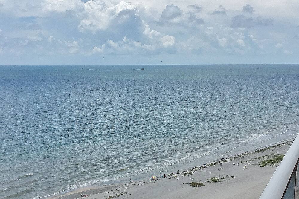 Photo of Others in Sand Key