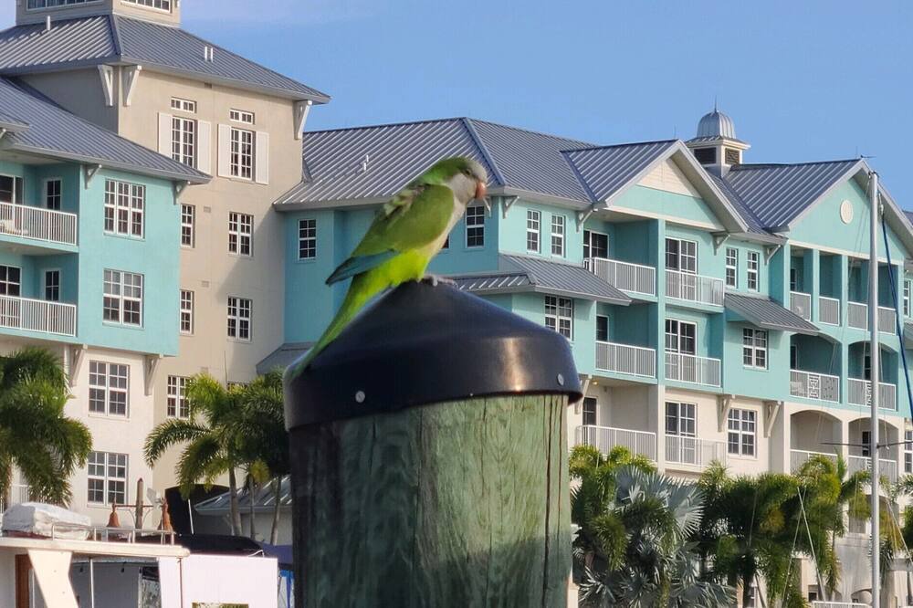 Photo of Outdoor in Ruskin