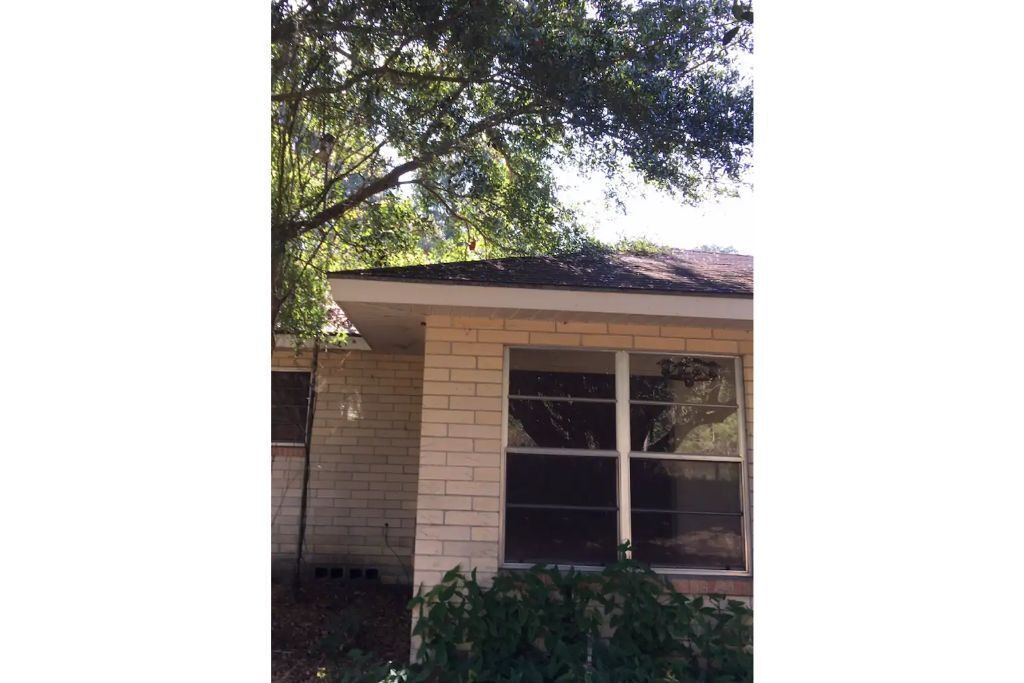 Photo of Outdoor in Dade City