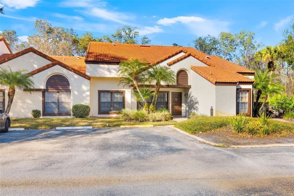Photo of Outdoor in Saddlebrook
